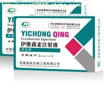 药品批发新选择 深入解析可素及其市场前景